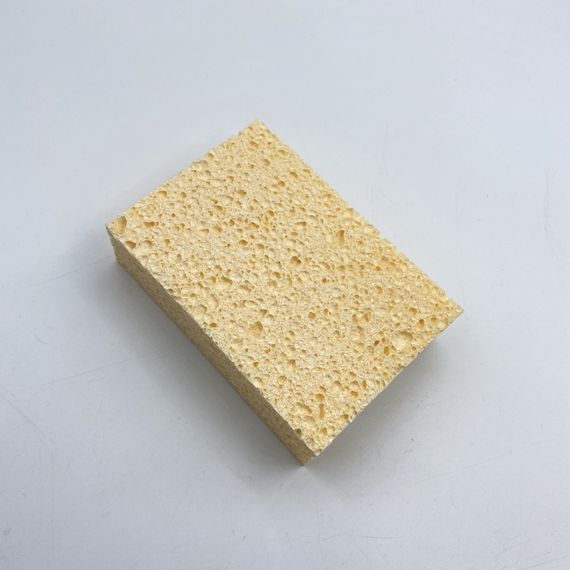 Multifunctionele cellulosespons